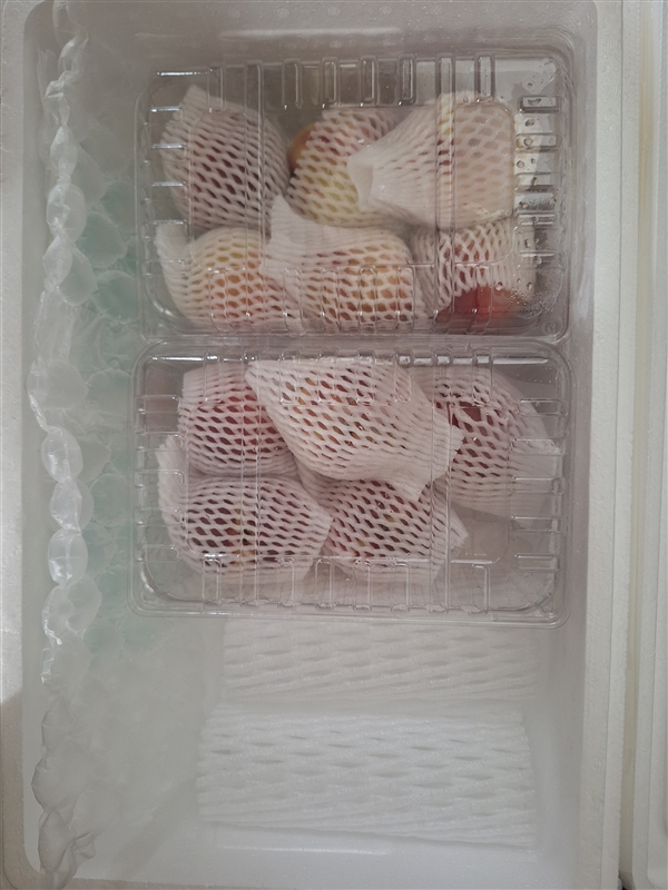 20260710024225438_20260710_100401.jpg