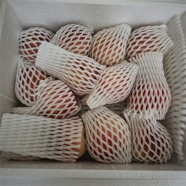 20260810124316962_20260807_222157.jpg